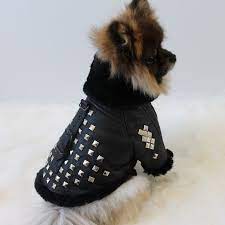 Pin On Orostani Couture For Luxury Pets