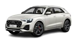 Image result for Vicuna Beige 2022 Q8