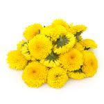 Over 6,398 fresh marigold flowers pictures to choose from, with no signup needed. Buy Marigold Flowers Online At The Best Price Bigbasket Com