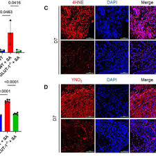Lance R. Thurlow's research works