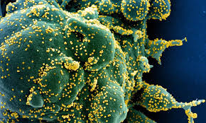 Get the latest on the indian variant (b.1.617). Delta Variant 40 Percent More Transmissible Uk Health Minister
