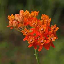 Pin On Reference Photos