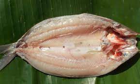 Jul 19, 2021 · daging ikan itu biasanya akan dicampur dengan terasi atau tempoyak. Informasi Penyuluhan Perikanan Teknik Menghilangkan Duri Ikan Bandeng