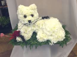 Cat Challenge By Sarahs Rose Garden Florists Funeral Flowers Flower School Flower Arrangements