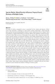 Jawabannya ternyata lebih dari bilangan yang kita cari. Pdf Species Matter Wood Density Influences Tropical Forest Biomass At Multiple Scales