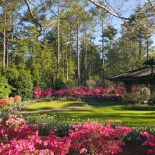 We did not find results for: Become A Member Today Callaway Gardens