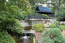 Descanso Gardens To Receive Two Hiroshima Survivor Trees Rafu Shimpo