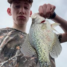 James Speers in people