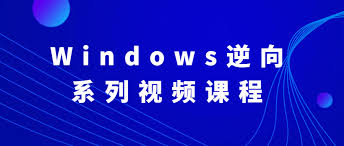 Windows逆向系列视频课程编程语言资料网