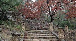Check spelling or type a new query. Fuente Del Pino Navarres La Canal Territorio Turistico