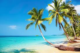 Top 25 New Year S Resolutions Start Your Resolutions Anytime Top5 Natureza Caminho Da Vida Vida