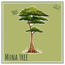 Image result for Pouteria adolfi-friedericii