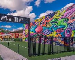 Wynwood Miami