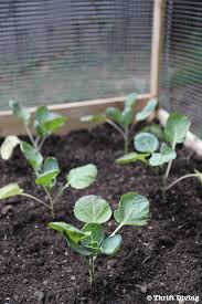 How to build a fence around a raised garden. How To Build A Diy Raised Garden Bed And Protect It With A Metal Fence