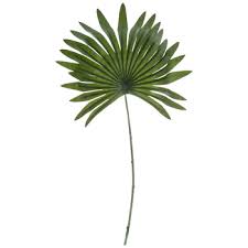 We did not find results for: Mini Palm Leaf Pick Hobby Lobby 1722610