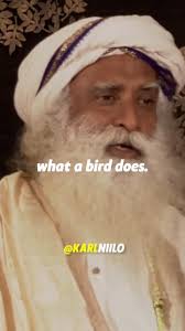 Jae Lopez (jenny_lopez08)