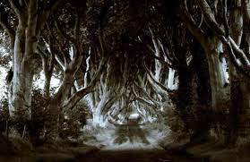 This Beautiful Avenue Of Beech Trees Has Been Used As The Location For The Kingsroad In Game Of Thrones Dark Hedges Game Of Thrones Locations Filming Locations