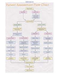 Assessment Flow Chart Emt Study Emergency Medical Responder Paramedic Quotes