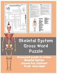 A 13 question printable bone and muscle anatomy crossword with answer key. Skeletal System Hs Crossword Puzzle By Brighteyed For Science Tpt
