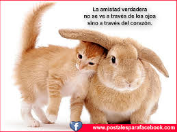 Imagen relacionada