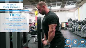 Tricep V-Bar Press Downs