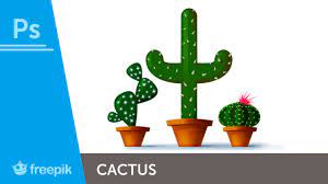 Some of us has a problem to made a 3d look logo. Illustration Draw Different Cactus Designs Beginner Freepik Youtube