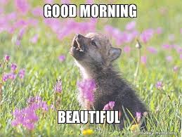 Maybe you would like to learn more about one of these? Good Morning Beautiful Baby Insanity Wolf Make A Meme