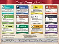 Twelve Tribes Of Israel Laminated Wall Chart Favorite