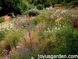 Use these tools to visualize the layout of your flowers and vegetables. 7 Things To Think About When Planning A Garden