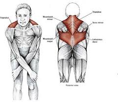 Easy Stretches Release Tension Neck Shoulders Shoulder Stretching Exercises Shoulder Stretches Neck Exercises
