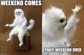 Image result for the weekend is over meme