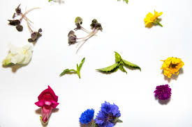 We did not find results for: Pretty Delicious Edible Flowers Can Be Good For Your Palate The Express Magazine