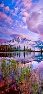 Pink and brown trees digital wallpaper, artwork, fantasy art. 1000 Neture Hd Wallpaper Background Picture Collection Life Is Won For Flying Wonfy Nature Photography Nature Photos Nature