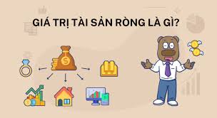 Giá trị tài sản ròng là gì? Công thức và ý nghĩa Net Worth