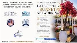 Late Spring Sunset Networking