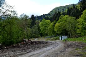 Cabana solca este situata in localitatea solca, judetul suceava, localitate renumita pentru al doilea cel mai ozonat aer din europa si primul din. Cabana Valea Sambetei Traseu De PrimÄƒvarÄƒ CÄƒlÄƒtoriile Ioanei