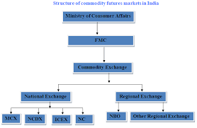 Structure Of The Indian Commodity Market Tutorial