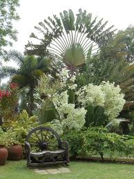 Tropical Tropical Garden Tropical Landscaping Garden Landscape Design
