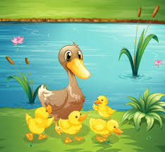 Description enjoy the company of this adorable duck family as they make themselves at home in your yard. A Mother Duck With Her Ducklings In The River 522689 Vector Art At Vecteezy