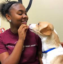 Crossroads Campus Board of Directors — Crossroads Campus,Crossroads Pets,  Cafe, Grooming