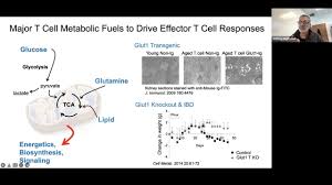 Jeff Rathmell: Metabolic Checkpoints to Immunity in Cancer and Inflammatory  Disease