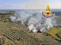 Dario Carmassi, il sindaco di Bientina risponde a Sindaci allo Specchio -  gonews.it