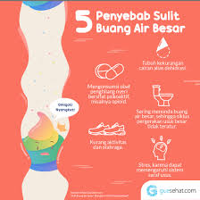 Susah buang air besar dapat menyebabkan organ ginjal bekerja menjadi semakin keras dan akhirnya akan mengakibatkan terjadinya kerusakan fungsi ginjal. Keluhan Buang Air Besar Guesehat Com