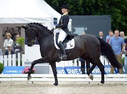 Anky van grunsven / bonfire: Isabell Werth And Weihegold Dressage Horses Dressage Dressage Arena