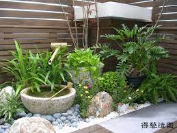 x p plants design