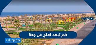 كم تبعد املج عن جدة واتجاهات المدن القريبة من املج السعودية موقع محتويات