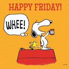 images?q=tbn:ANd9GcSjtZ04uasIepzwvDhaf7XKF1OmU5KOP0FrBE5SnDB4BvEc8hv4