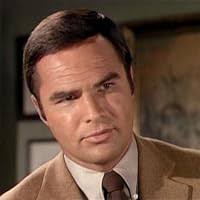 Amazon.com: Dan August: Complete Collection : Burt Reynolds, Norman Fell,  Richard Anderson, Ned Romero, Ena Hartman, Mark Roberts, Barney Phillips,  Martin Sheen, John Ritter, Harrison Ford, Dabney Coleman, Larry Hagman,  Billy Dee