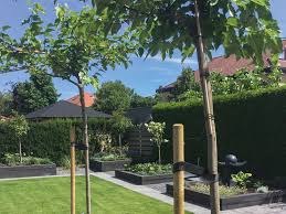 Draußen sitzen und würzige leckereien frisch vom grill genießen. Fehrs Baustoffe Garten Freizeit