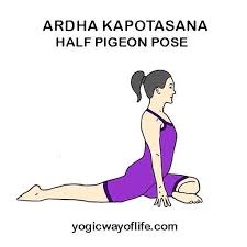 Yoga Poses Asana List With Images Yogic Way Of Life Yoga Asanas Names Pigeon Pose Yoga Yoga Poses Names
